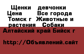 Щенки - девчонки › Цена ­ 2 - Все города, Томск г. Животные и растения » Собаки   . Алтайский край,Бийск г.